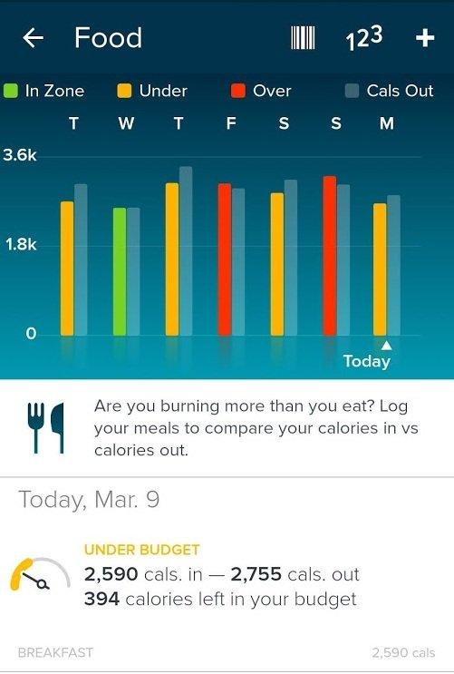 fitbit companion app for fitness trackers is very featured rich