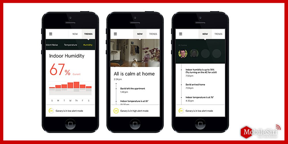 Canary security system app
