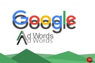I need an AdWords Management Provider – What Now?