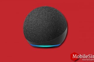 Home Assistant Alexa