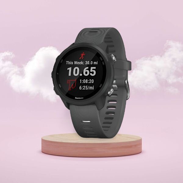 Best garmin best sale under 300