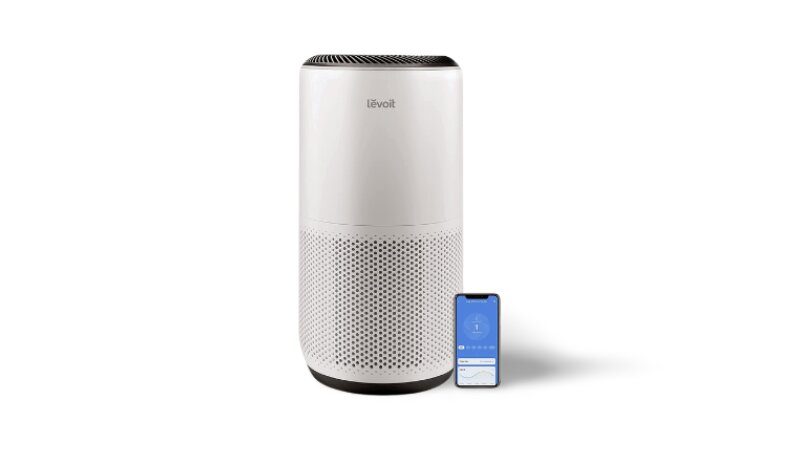 best air purifiers under $100