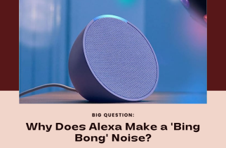 Why Does Alexa Make a ‘Bing Bong’ Noise? Decoding the Chime